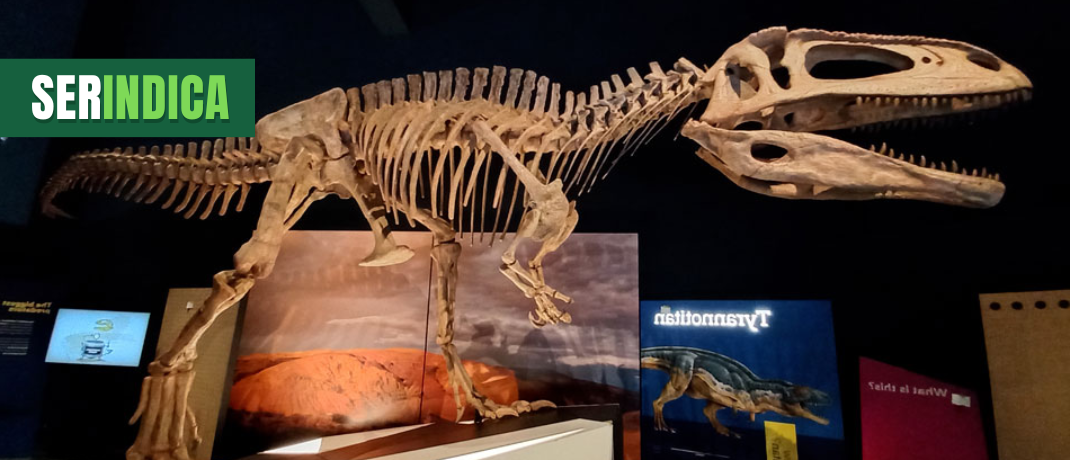 Ser Indica #37: Exposição Dinossauros – Patagotitan, O Maior do Mundo