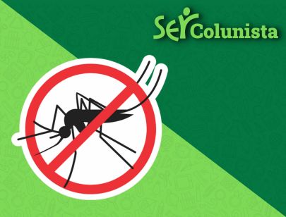 Ser Colunista – Dengue: quais são os sintomas e os cuidados com a doença?